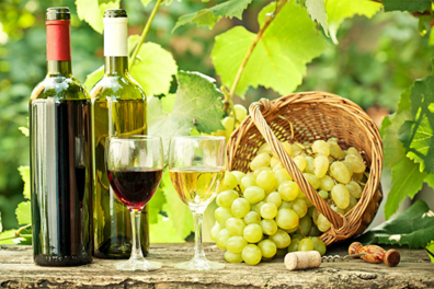 进口葡萄酒怎么选最好 进口葡萄酒挑选小窍门