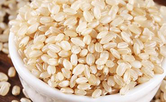 糙米适合减脂人群吃吗 天天吃糙米可以减肥吗