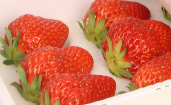 丹东99草莓几月份上市 丹东99草莓真的好吃吗