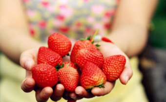 草莓越贵越甜吗 草莓越红越甜吗