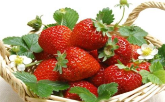 个头大的草莓可以吃吗 草莓为什么有的的大有的小