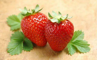 草莓上面的籽可以种吗 草莓籽能种出来吗