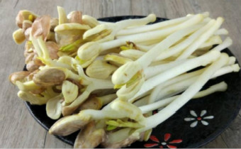 花生苗好吃吗 花生苗没炒熟吃了要紧吗