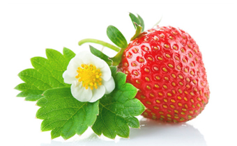 草莓发白是怎么回事 草莓发白是变质了吗