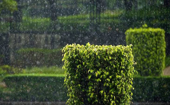 武汉清明节会下雨吗2019 今年清明节武汉天气怎么样