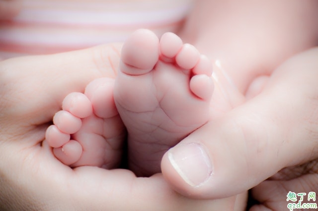 adorable-baby-baby-feet-266011.jpg