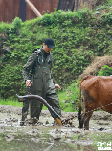 向往的生活3陈伟霆开还是关什么游戏 向往的生活3开关游戏答案及规则3