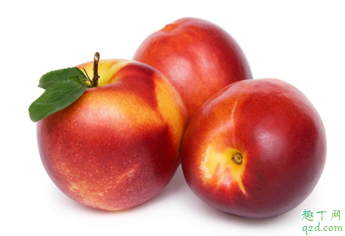 油桃有油吗 油桃有助于减肥吗1