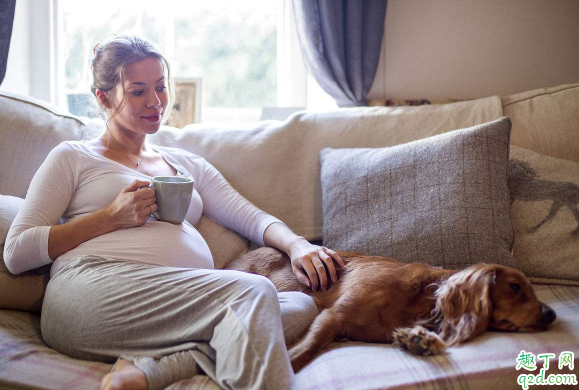 怀孕期间血糖高对胎儿影响大吗 孕期血糖高如何治疗3