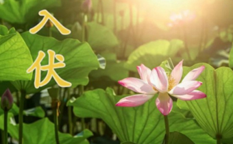 2019入伏是几月几号星期几 2019哪一天入伏