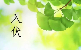 2019年阳历7月几号入伏 2019年入伏是哪天开始