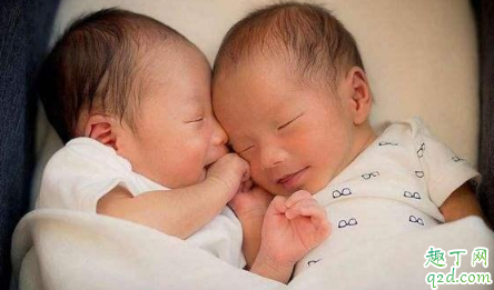 现在生双胞胎的越来越多怎么回事 生双胞胎的人是拥有什么体质4