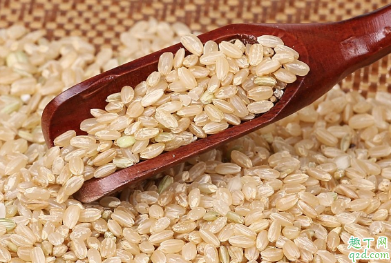 糙米饭都有哪几种米 电饭锅怎么做糙米饭3