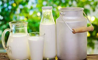 喝牛奶真能补脑吗 纯牛奶和酸奶哪个补脑效果更好