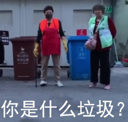 上海垃圾分类表情包带字搞笑版 你有被垃圾分类折磨吗1