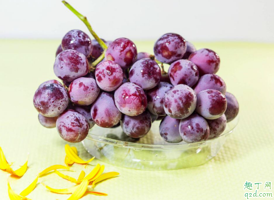 提子热量怎么样 常吃葡萄提子易发胖吗1