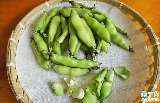 蚕豆有芽能不能吃 吃了发芽的蚕豆对身体有害吗2