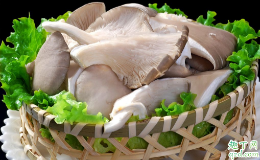 吃平菇真能变瘦吗 长期吃平菇对身体有何好处1