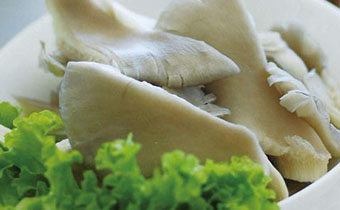 平菇和驴肉能不能一起吃 平菇怎么吃营养最佳