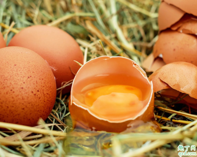 土鸡蛋和普通蛋有什么不同点 土鸡蛋为什么颜色不一样4