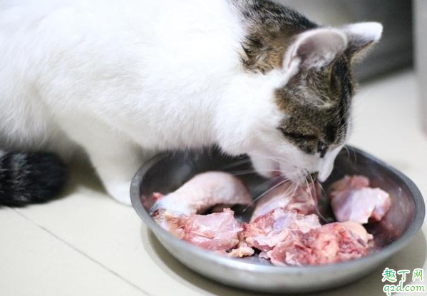 生骨肉和猫粮怎么混喂 猫用生骨肉配方3