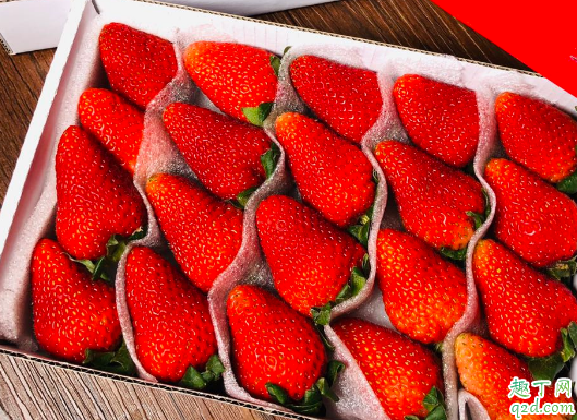 吃草莓可以解暑吗 中暑了能不能吃草莓3