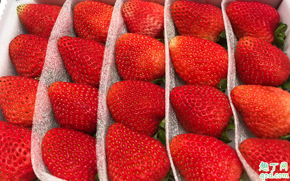 体寒的人能吃草莓吗 哪些人一定不能吃草莓1