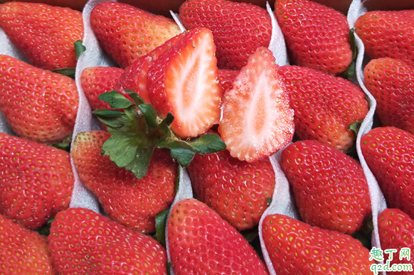 体寒的人能吃草莓吗 哪些人一定不能吃草莓2
