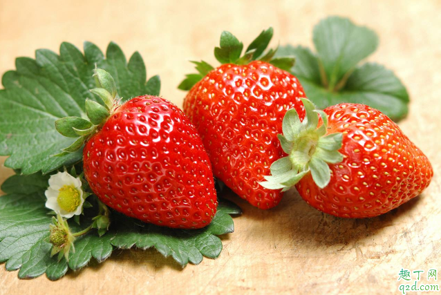 得口腔溃疡的人能吃草莓吗 常吃草莓会不会得口腔溃疡 1