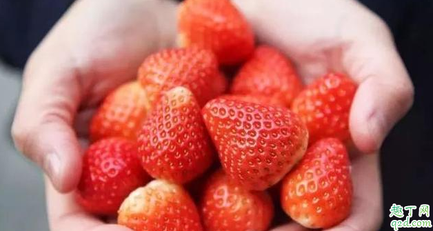 草莓牛奶同食会怎么样 草莓和什么一起吃营养价值最高3