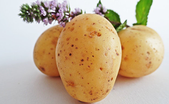天天吃土豆会不会发胖 吃土豆能减肥吗