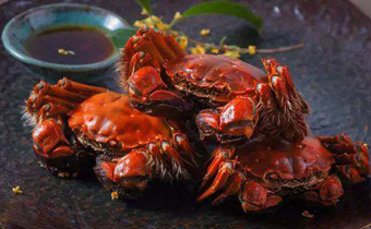 大闸蟹和梭子蟹哪个味道好 大闸蟹肉多还是梭子蟹肉多
