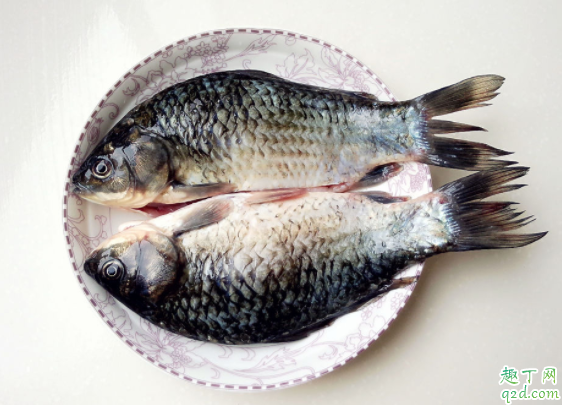 鱼肚子里的黑膜可以吃吗 鱼肚子里的黑膜怎么去掉1