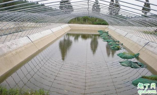 水产养殖中ph过高如何处理 水产养殖中如何分清水质的好坏3