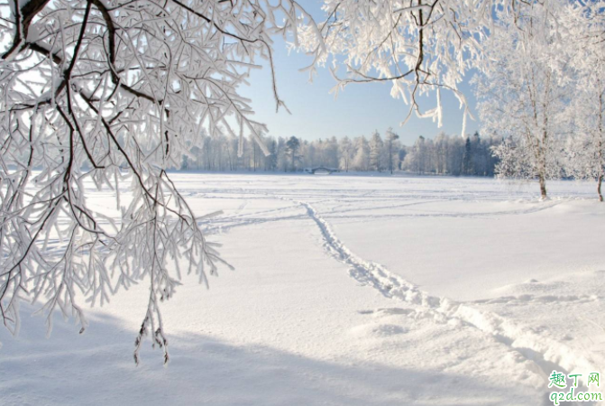 2019年大雪节气是阳历几月 大雪节气一定下雪吗3