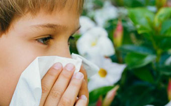 小宝宝容易花粉过敏吗 宝宝花粉过敏安空气净化气管用吗