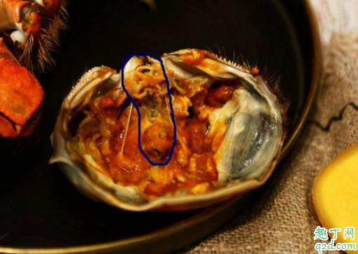 螃蟹内脏有哪些不能吃 螃蟹内脏怎么处理3
