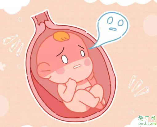 怀孕期间肚皮一跳一跳的是什么原因 胎儿打嗝和胎动有什么不一样2