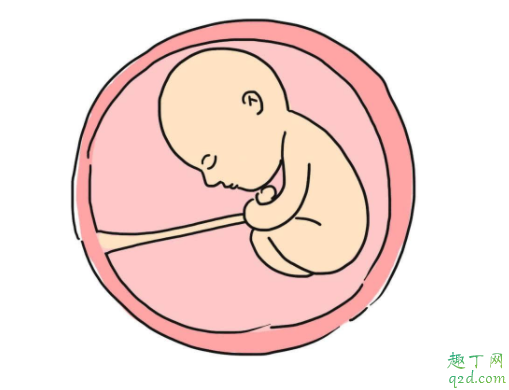 怀孕期间肚皮一跳一跳的是什么原因 胎儿打嗝和胎动有什么不一样3