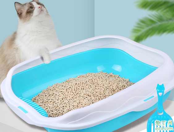 猫砂盆选什么样子的好 猫砂盆使用时需注意哪些事项1