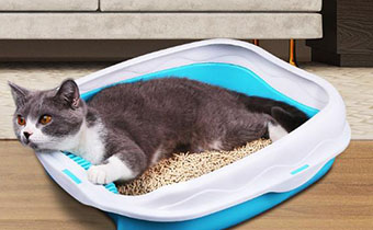 猫砂盆选什么样子的好 猫砂盆使用时需注意哪些事项