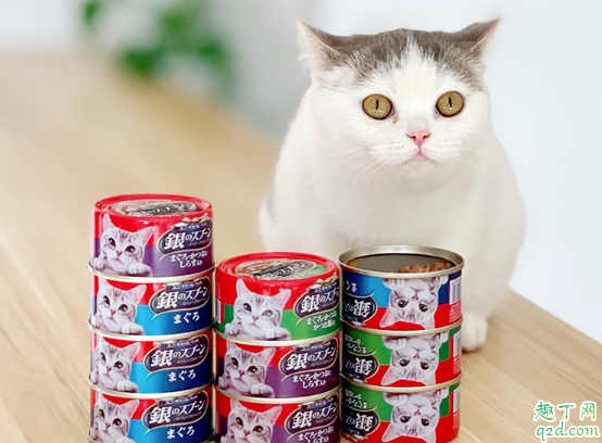 未拆封的过期罐头能给猫吃吗 怎么看猫罐头是不是过期了1