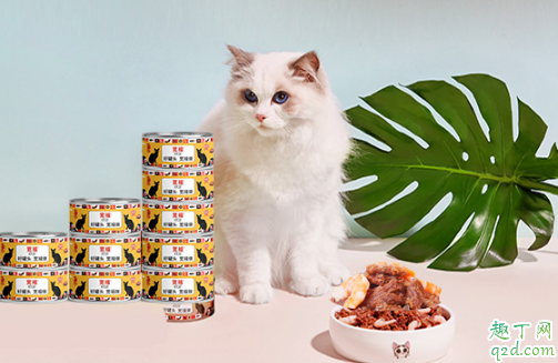 开罐的猫罐头能放几天 猫罐头如何才能保存的更久2