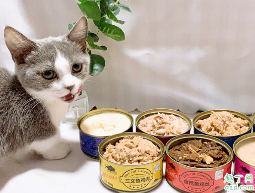 开罐的猫罐头能放几天 猫罐头如何才能保存的更久3