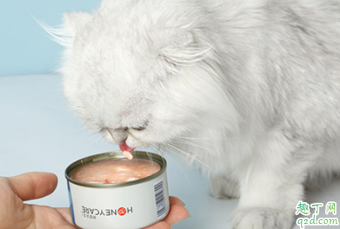 猫罐头为啥会胀罐 胀罐的猫罐头还能喂给猫吃吗2