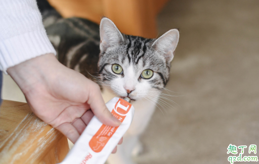 能喂三月大的小猫吃营养膏吗 营养膏一般多久喂猫一次2