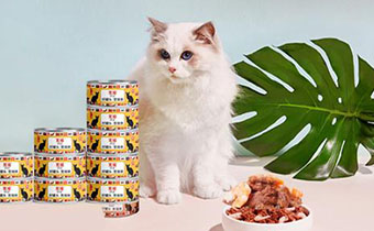 开罐的猫罐头能放几天 猫罐头如何才能保存的更久