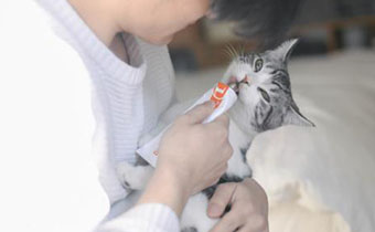 能喂三月大的小猫吃营养膏吗 营养膏一般多久喂猫一次