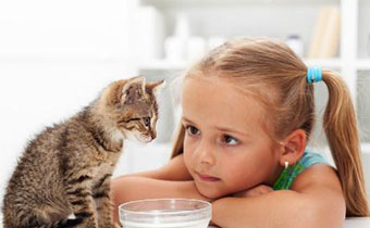 猫咪吃营养膏好不好 猫不喜欢吃营养膏怎么办