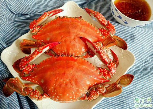 螃蟹|海螃蟹刚死了就不能吃了吗 海螃蟹死了放冰箱一晚上能吃吗